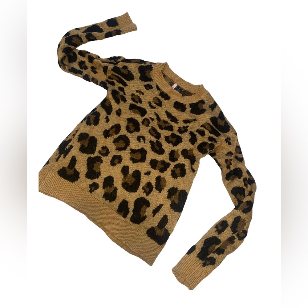 Women's Fab Jaguar Print Long Sleeve Pullover Sweater